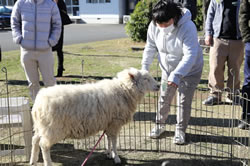 т`I̎͐HׂȂ悤ɂ(;'')